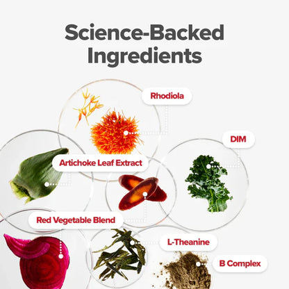 Women’s Endocrine Superfood Powder